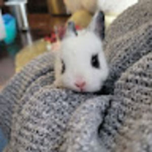 Meet your Posher, Katherine